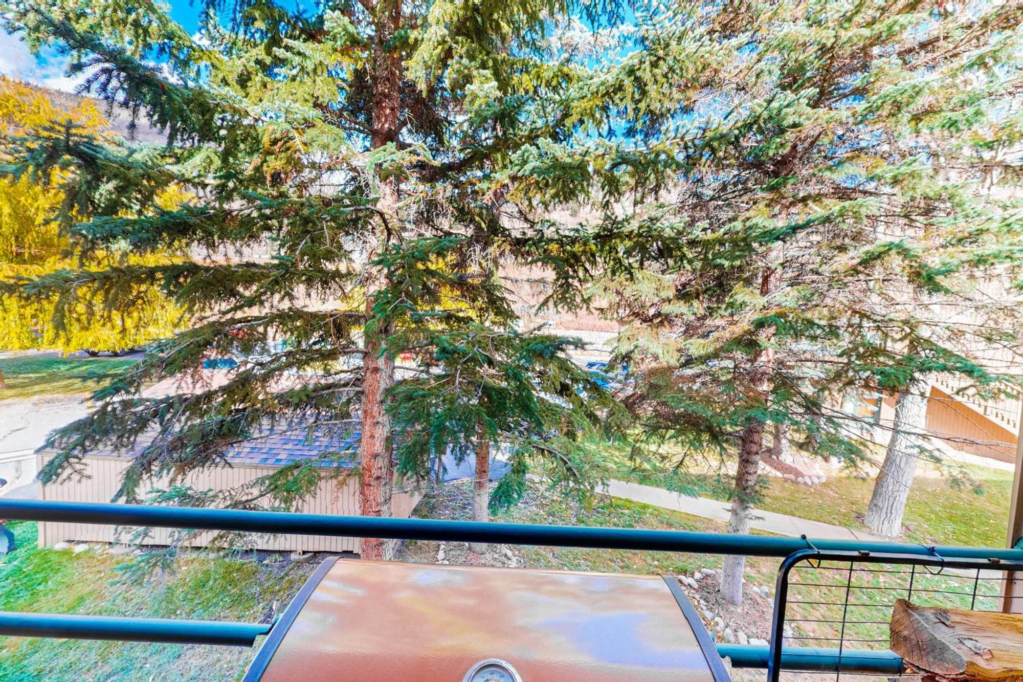 Pitkin Creek Park 7 Villa Vail Rum bild