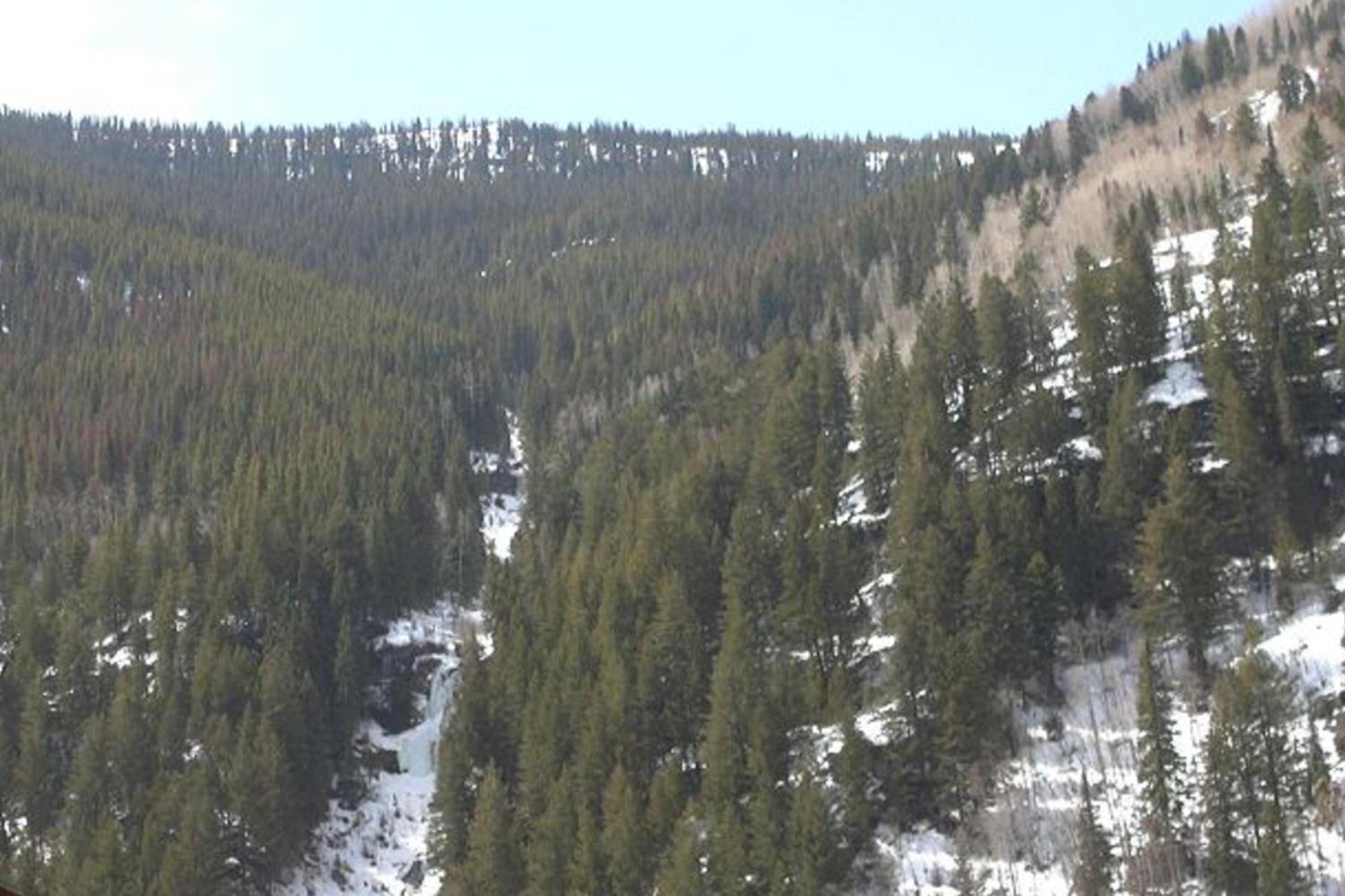 Pitkin Creek Park 7 Villa Vail Rum bild